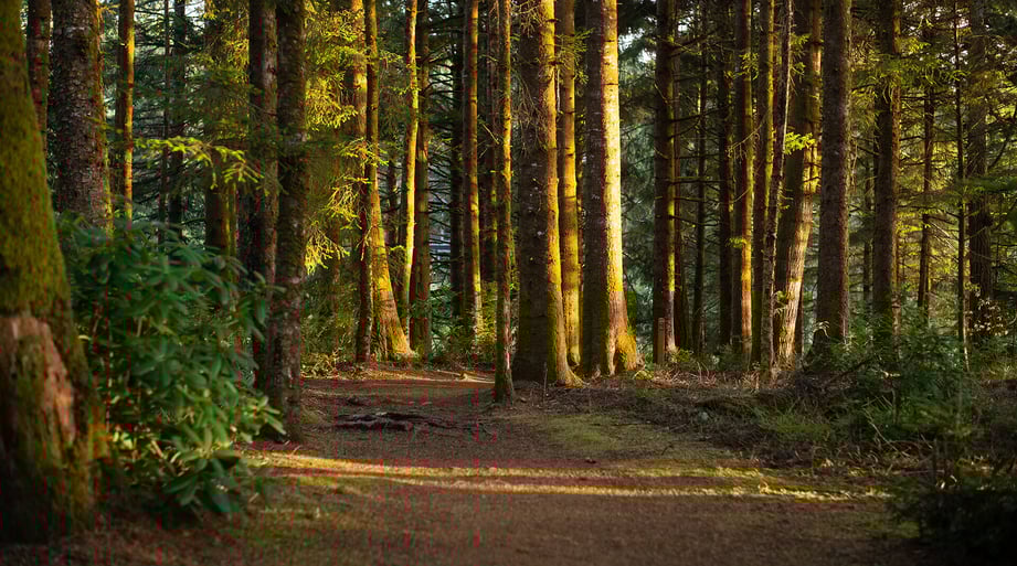 HikingTrail_Slide1-1920x1071